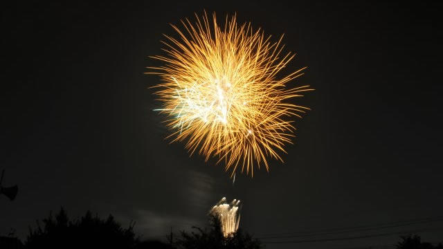 電車に乗ってさいたま市花火大会へ！