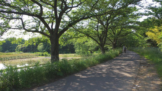 浦和美園から岩槻まで、サイクリングしました。