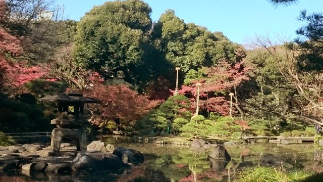 毎年恒例！浦和美園駅からの都内周遊ツアーへ♪