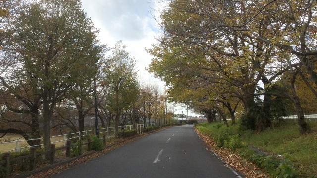 マウンテンバイクで、エキトコサイクリング♪