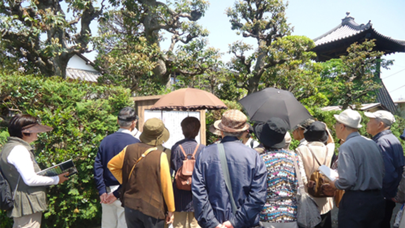 「城下町岩槻歴史散策」が開催されます。＜終了致しました＞