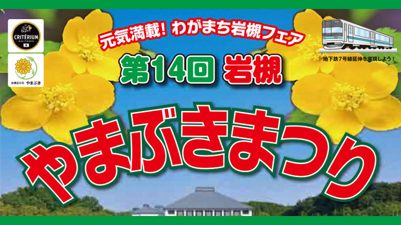 第14回　岩槻やまぶきまつりが開催されます。＜終了致しました＞