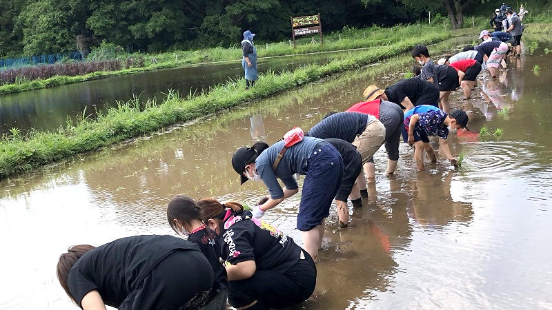 【特集】自然と共生する「ゆったりとあるがままの暮らし」が一番！