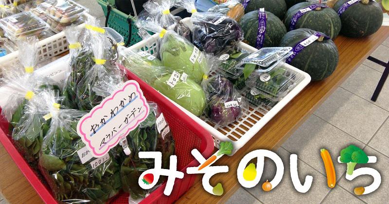 「みそのいち」が開催されます。<終了致しました>