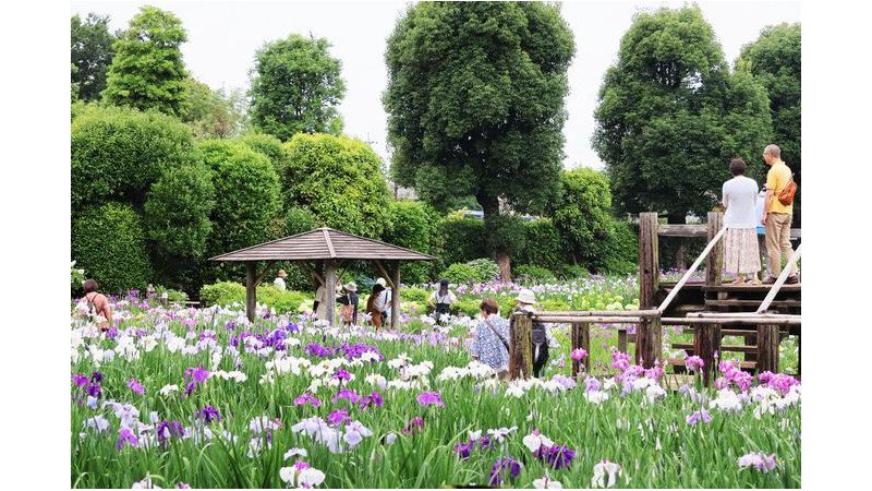 東武健康ハイキング「初夏の花しょうぶと歴史・自然を満喫するハイキング」が開催されます。